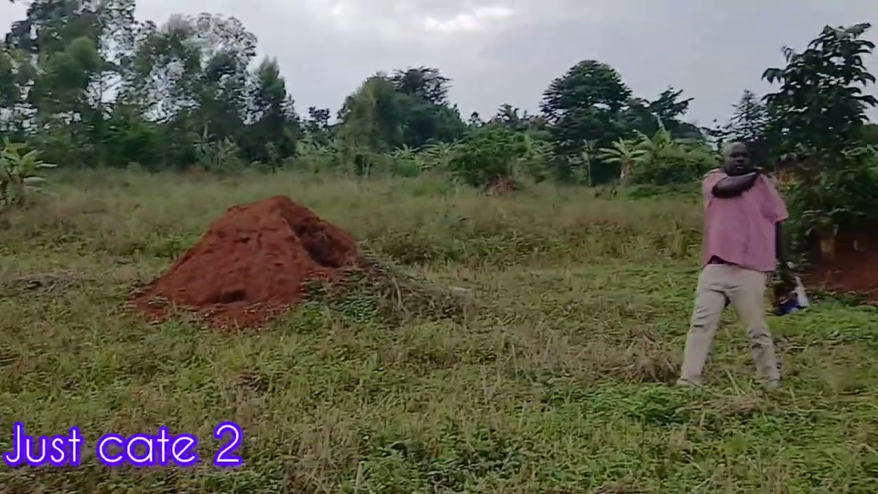 BUYING LAND FOR MY ANOTHER SUBSCRIBER/ In Mpigi Town 🥰.