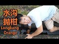 水沟抛柑 LONGKANG ORANGE