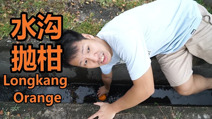 LONGKANG ORANGE