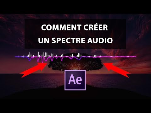 Vidéo: Comment Construire Un Spectre