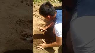 Mezclando La Tierra Con El Abono