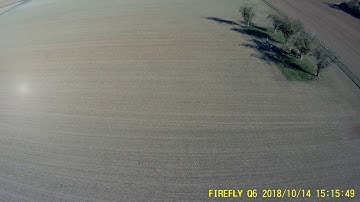 Bugs 8 pro mit Firefly Q6