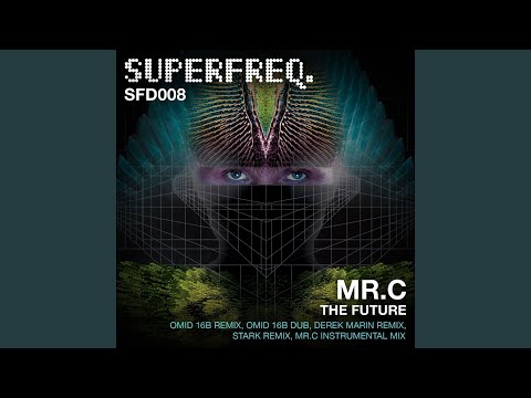 The Future (Omid 16B Remix)
