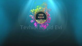 Tevhidî Neşid Evi Shorts