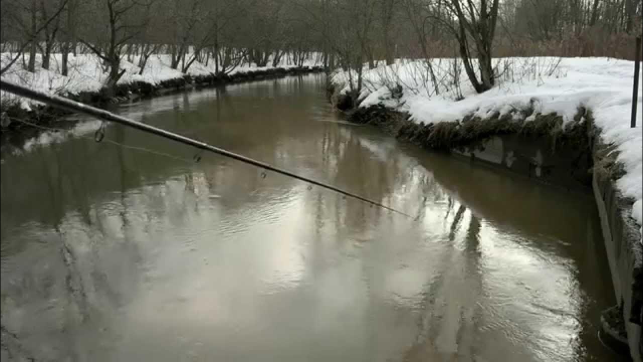 Платная рыбалка. Рыболовные соревнования. Половить рыбу в москве. Половить рыбу в москве. Рыбалка зимой.