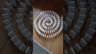 White Domino Spiral #shorts #satisfying #domino