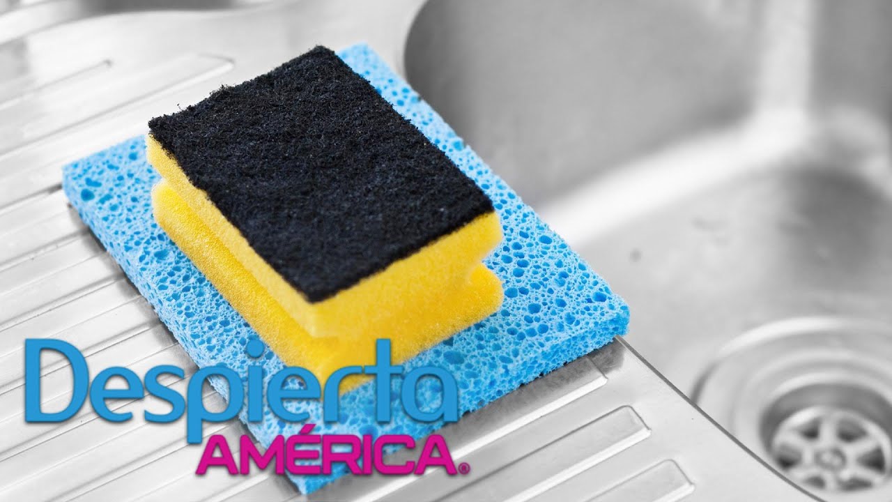 Las esponjas no solo sirven para lavar, aprende a darles otro tipo de usos YouTube Las esponjas no solo sirven para lavar, aprende a darles otro tipo de usos YouTube