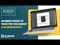 How to Add Numbers to PDF Pages in Bluebeam Revu | Number Pages in Revu 21