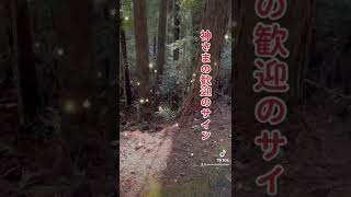 偶然この動画が表示されたら、なぜが良い事が起こり始めます#shorts