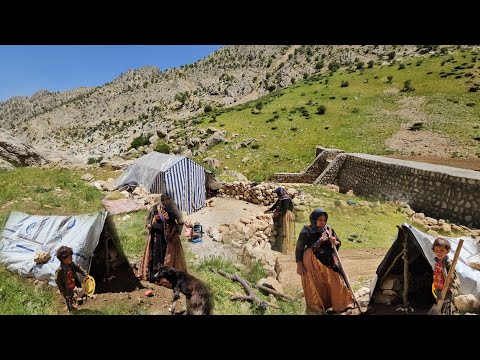 An orphaned nomadic
