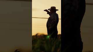 A partir de mayo, Ava Community Energy será el proveedor predeterminado de electricidad (Maria 15s)