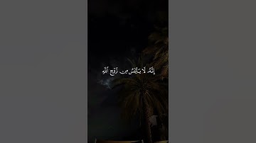 قرآن كريم 🌸🌹 #استغفرالله #لايك #اكسبلور #راحة_نفسية #راحه_نفسيه #تيك_توك #حالات_واتس #ترند