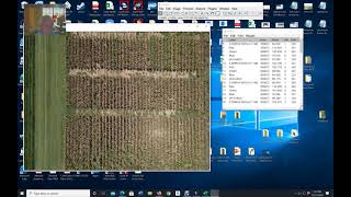 Using ImageJ and Excel to Turn Drone Imagery and Plots into Numerical Data