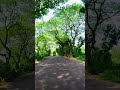 Beautiful Road Bike Ride 4K | Shorts