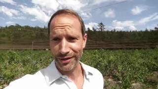 Spooner Berry Farms