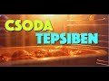 Csoda tepsiben