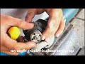 Beginning of video