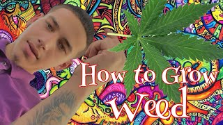 GROWING WEED:THE CHEAP WAY