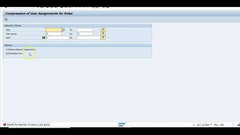 SAP Security: Remove expired Roles