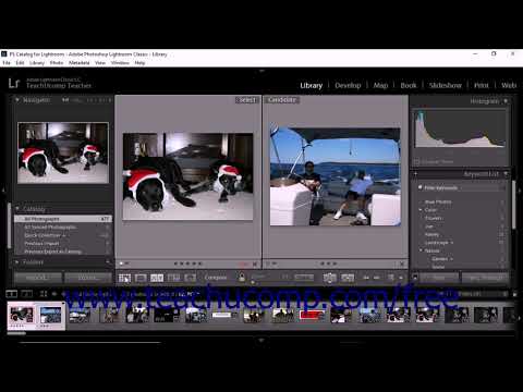 Lightroom Classic CC Tutorial Showing Flags, Ratings, and Labels Adobe Training