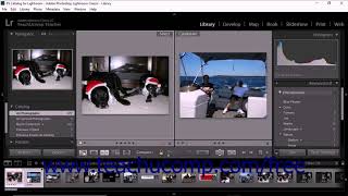 Lightroom Classic CC Tutorial Showing Flags, Ratings, and Labels Adobe Training