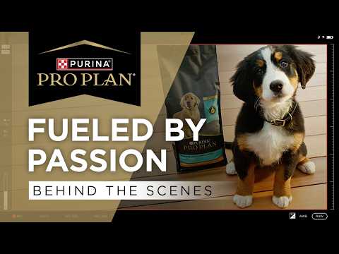 The Heart Behind the Campaign - Pro Plan Fuel For Life