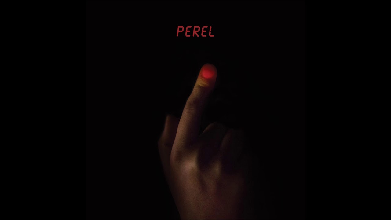 Perel - PMS [DFA2558] camera iphone 8 plus apk