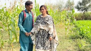 Cahchi Da Asiq New Emotional  Pakistani Darma Asif Tallu Mahnoor Wajid Simran