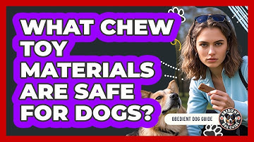 What Chew Toy Materials Are Safe For Dogs?