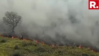 Massive Protest Against Amazon Fires, Activists Call For Immediate Action