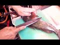 Japanese Street Food - Fat lips fish! GREENLING sashimi and boiled with soy sauce