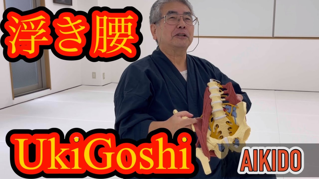 УкиГоши? Основные манипуляции телом в боевых искусствах (Айкидо).