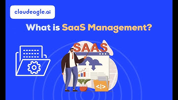 What is SaaS Management? A Detailed Guide