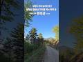 '한석산' 들머리~인제군 인제읍 덕적리8-2 #오지트레킹 #임도