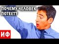 ПОЧЕМУ человек ПОТЕЕТ? Как вылечить потеющие руки #ИФ.