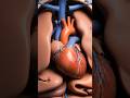 Without Bones, Human Body Kaisa Dikhega? #shorts #shortsfeed