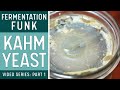 Kahm yeast on fermented vegetables how to identify  what to do about it