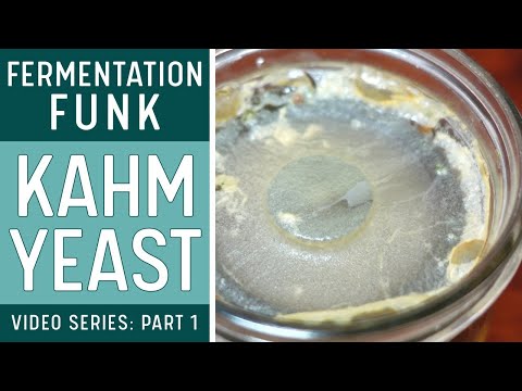 KAHM YEAST On FERMENTED VEGETABLES How To Identify What To Do About It