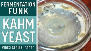KAHM YEAST on FERMENTED VEGETABLES (How to identify & what to do about it)
