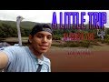 A LITTLE TRIP/ un pequeño viaje/The willdo