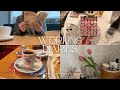 看護師・助産師3年目の年末記録🏥｜365日分のカレンダー🌷🗓️｜カフェと忘年会｜新しいルームシューズ konciwa🧦