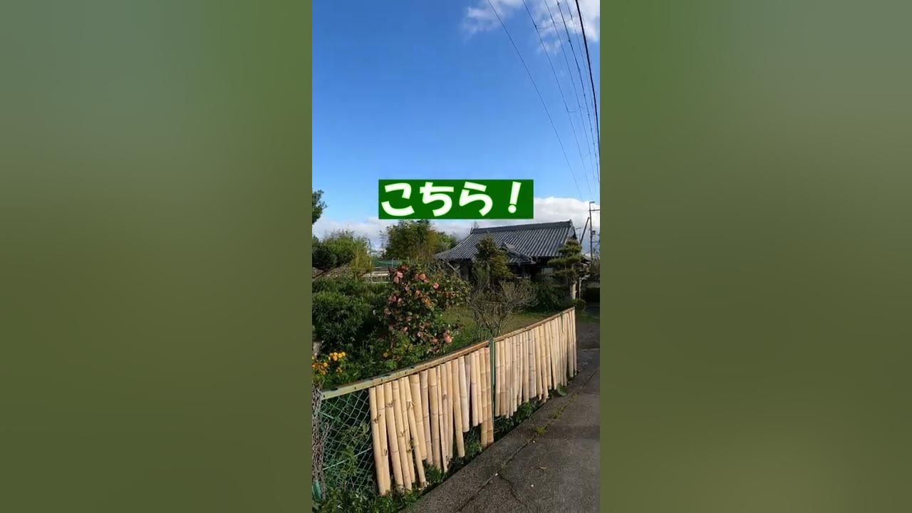 【DIY】竹フェンス/製作から半年後の姿 YouTube