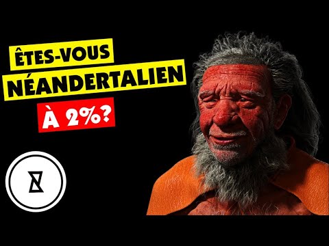 Qui Gagnerait: Humain vs Néandertalien | Qui Sont Les Néandertaliens | Très Curieux?