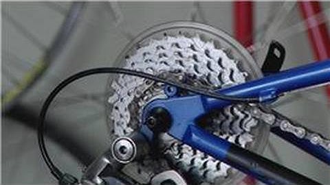 Bicycle Equipment : How to Choose a Rear Derailleur on Mountain Bikes