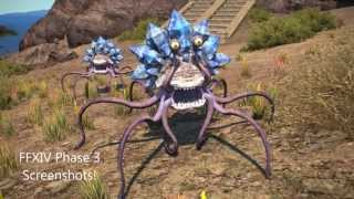 FFXIV Realm Reborn Phase 3 screenshot montage