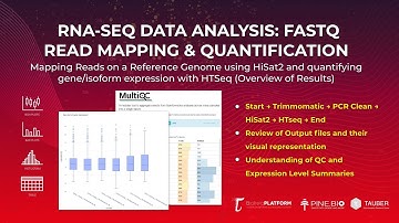 Bulk RNA-Seq Data Analysis: Mapping with HiSat2 and Quantification with HTSeq (Output Overview)