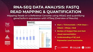 Bulk RNA-Seq Data Analysis: Mapping with HiSat2 and Quantification with HTSeq (Output Overview)