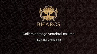 Collars - Vertebra