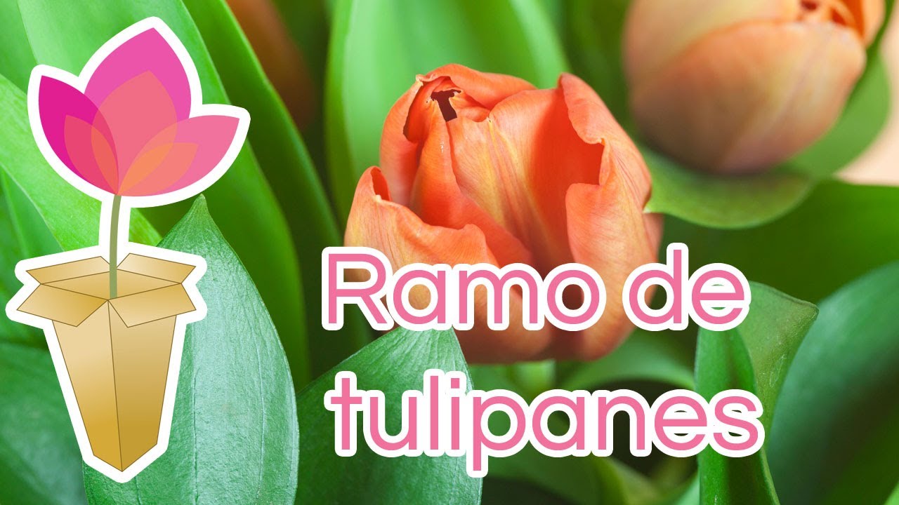 Cómo hacer un ramo de tulipanes - YouTube