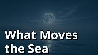Why Ocean Tides Rise Fall and Differ by Location